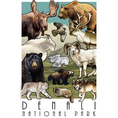 an image of various animals that are in the wild with words denali national park