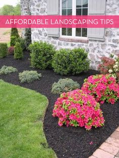 landscaping tips that are easy to do in the front yard or garden area, including shrubs and flowers