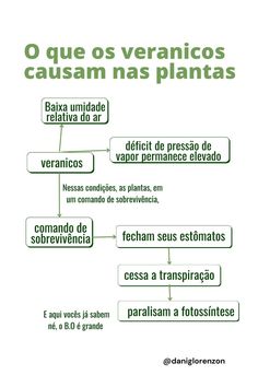 a diagram with the words in spanish and english