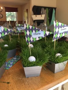 there are several small flags in the grass on top of each other, with golf balls and tees sticking out of them