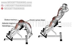 an image of a man doing the incline bench press up exercise for back and shoulder muscles