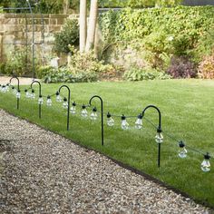 a row of light bulbs sitting on top of a grass covered field next to a garden