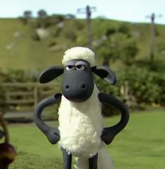 a black and white sheep standing on top of a lush green field