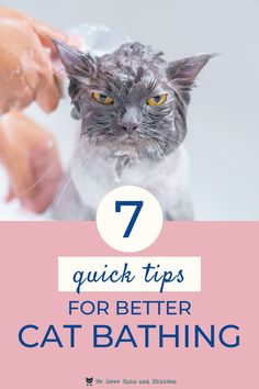 a cat getting its hair washed with the words 7 quick tips for better cat bathing