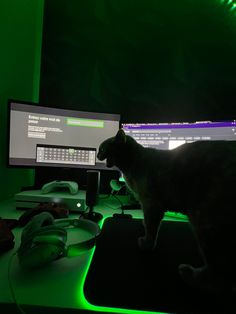 a cat standing on top of a computer desk next to a keyboard and monitor screen