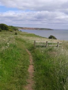 a dirt path leading to the ocean with grass on both sides and a wooden fence in the foreground