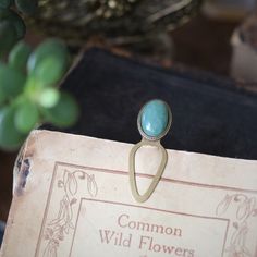 a ring sitting on top of a book next to a plant