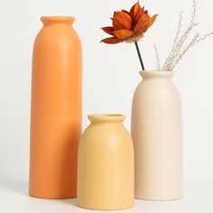 three different colored vases with one flower in it