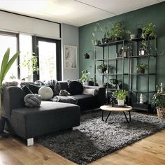 a living room filled with furniture and lots of plants