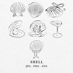 shells are shown in black and white with the words shell