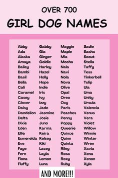 A short list of cute puppy names from the full compilation of over 700 best girl dog names and best female dog names. Ideal for those searching for the perfect dogs names list. Names For Dogs Female, Puppy Girl Names