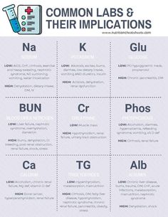 the common labs and their imaginations are shown in this poster, which is also used to help students learn how to use them