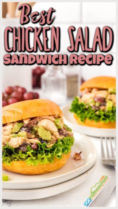 the best chicken salad sandwich recipe on a plate