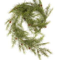 a pine branch with berries hanging from it's end, on a white background