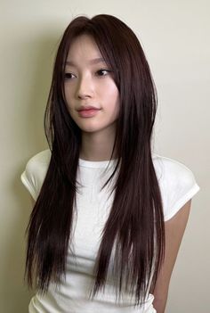 Korean Layers Long Hair, Long Layered Hair Aesthetic, Korean Hair Trends 2023, Asian Round Face Hairstyles, Hair Inspo Asian, Long Hair Asian, Hair Long Straight, Hair Asian, Hair Styles For Long Hair