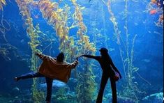 two people standing in front of an aquarium