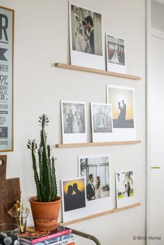 some pictures are hanging on the wall above a potted plant and bookshelf