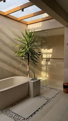 a bathroom with a plant in the middle of it and skylights overhead above them