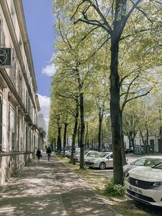 cars parked on the side of a street next to trees and people walking down the sidewalk