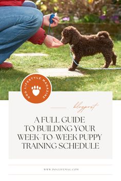 A Full Guide to Building Your Week-to-Week Puppy Training Schedule Puppy Routine Schedule 8 Weeks, Puppy Training Schedule By Age, Dog Training Treats Recipe, Training Planner, Golden Retriever Training