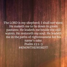 the lord is my shepherd i shall not want