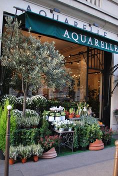 an outdoor flower shop with potted plants and trees