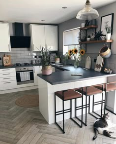 a cat sitting on the floor in a kitchen next to an island with two stools