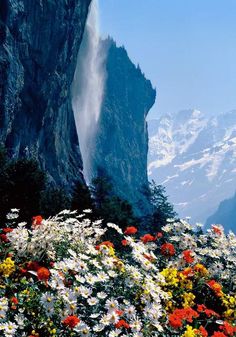 the mountains are covered in snow and flowers with water coming out of their tops on them