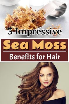 3 Impressive Sea Moss Benefits for Hair Sea Moss For Hair, Sea Moss Benefits, Hair Gel Recipe, Naturalista Hairstyles, Benefits Of Sea Moss, Moss Hair, Seamoss Benefits, Diy Facials, Low Porosity