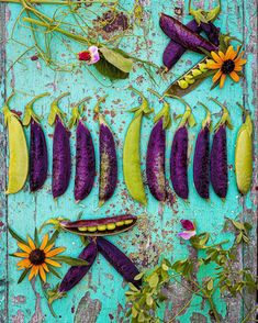 purple beans and sunflowers are arranged on a blue surface with green leaves, flowers, and twigs