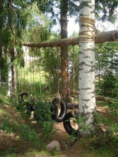 a tire swing in the woods near a tree