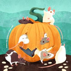 a group of mice sitting on top of a pumpkin