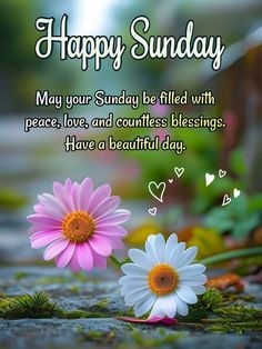 Good Morning Scripture, Weekend Wishes, Morning Scripture, Sunday Blessings, Happy Good Morning Quotes, Book Dragon, Have A Beautiful Day