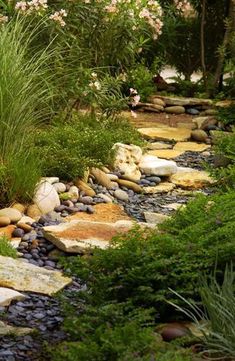 a garden with lots of rocks and plants