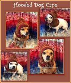 a dog wearing a knitted hat and scarf