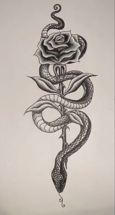 a drawing of a snake with a rose on it