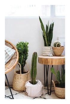 some plants are sitting on small tables in a room with white walls and flooring