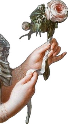 a drawing of a hand holding a rose