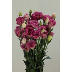 a vase filled with pink and white flowers