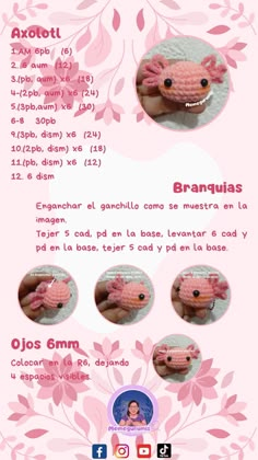 a poster with instructions for crocheted animals in spanish, english and spanish language