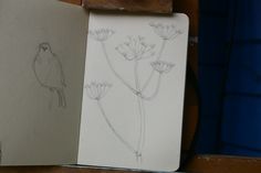 an open sketchbook with drawings of flowers and a bird sitting on top of it