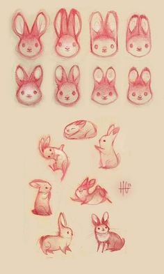 some drawings of rabbits and other animals