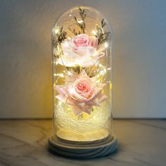 two pink roses are in a glass dome with fairy lights on the bottom and below