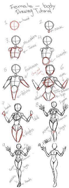 how to draw the human figure