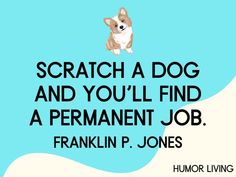 a dog sitting on top of a blue and white background with the words scratch a dog and you'll find a permanent job franklin p jones