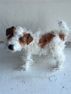 a small white and brown dog standing next to a wall