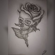 a drawing of a skull with a rose on it