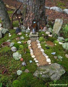 a fairy garden in the woods with moss and rocks