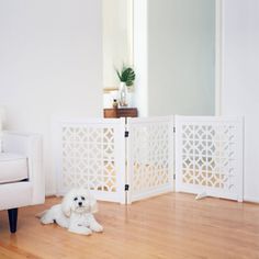 a small white dog laying on the floor in front of a room divider and mirror