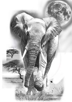 an elephant is walking in front of the moon and tree with it's tusks